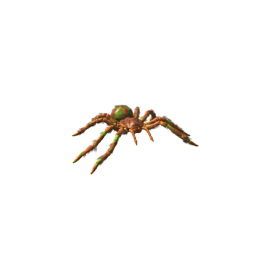 Stylized Spider